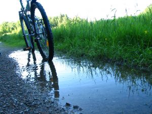 Mehr über den Artikel erfahren Mountainbike – Verleih